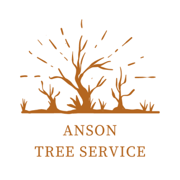 Anson Tree Service Logo